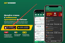 Tout Savoir sur betwinner  Une Plongée dans le Monde des Paris Sportifs